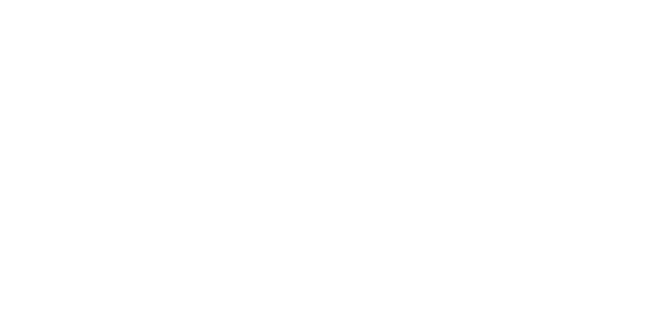 protoflow-logo